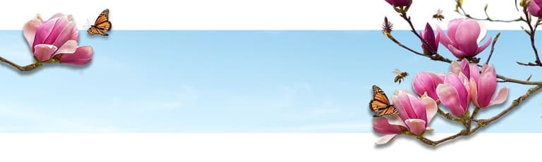 Immagine - PONTI 2026