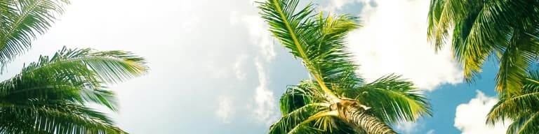 Vacaciones de verano