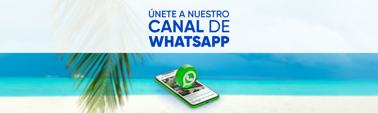 Imagen - CANAL WHATSAPP