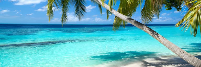 R. Dominicana - Cupos confirmados