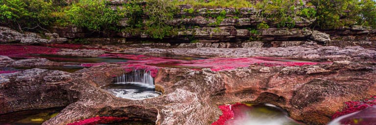 Caño Cristales