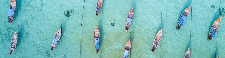 Imagen - DESCUBRE EL MUNDO 