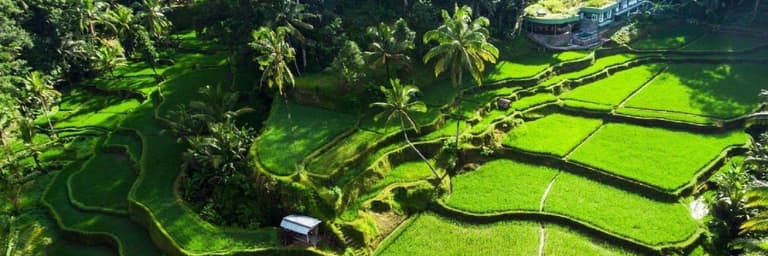 Bild - Social Impact & Nachhaltigkeit