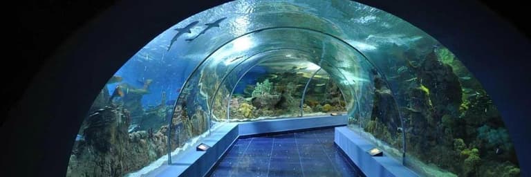 Kuva - Jeddah King Abdulaziz International Airport