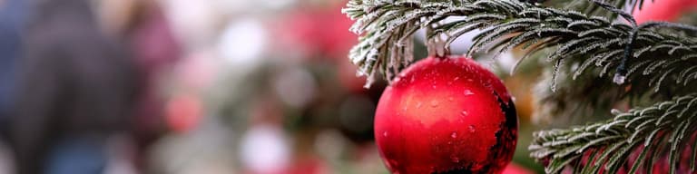 Kerst en Oud & Nieuw