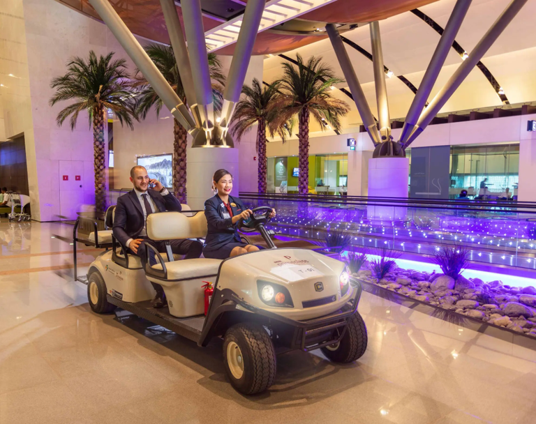 Image - Primeclass Meet & Greet Arrival Service