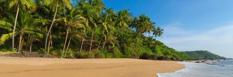 Imagen - Playas de Brasil