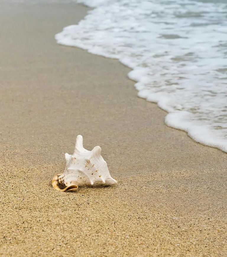 Immagine - Sea & Beach