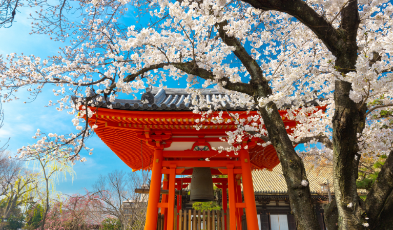 Imagen - Asia: Cultura, Espiritualidad y Naturaleza