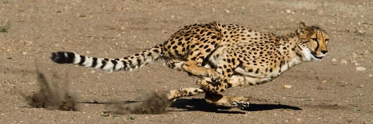 Image - Exodus Travels