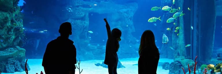 Image - Top Attractions & Activities