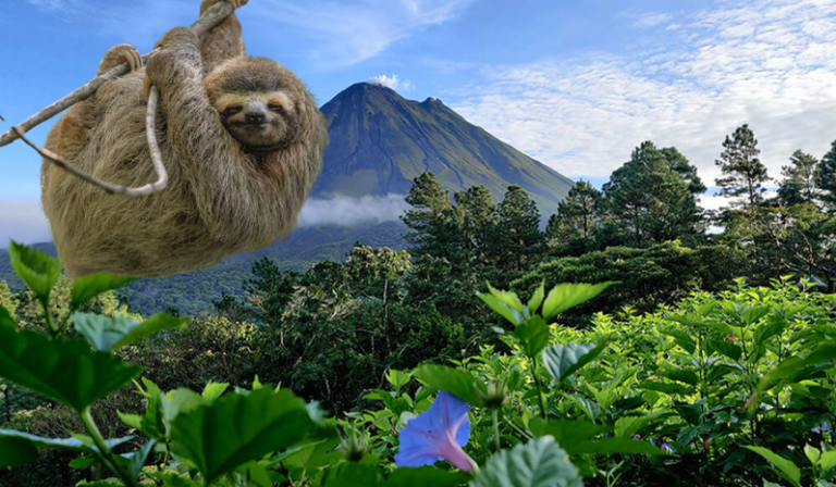 Imagen - Verano Tico