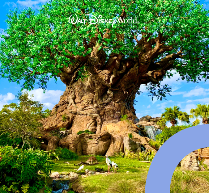 Imagen - Animal Kingdom