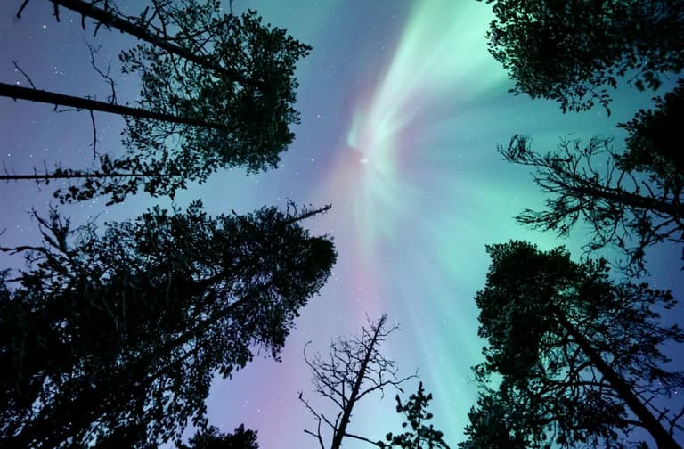 Image - About the Northern Lights