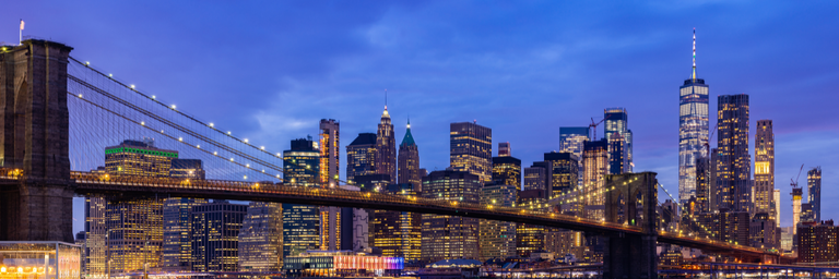 Immagine - GENNAIO A NEW YORK