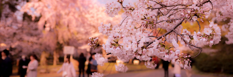 Image - Verre bestemmingen