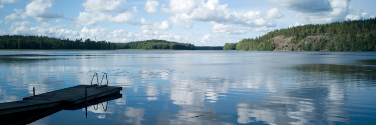 Immagine - Self Driver