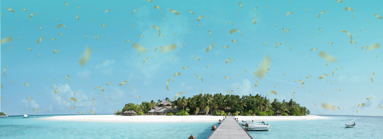 Image - Search & Win Every Day This January!