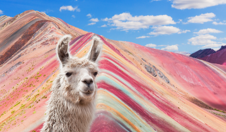 Imagen - Sudamérica: Colores que Inspiran