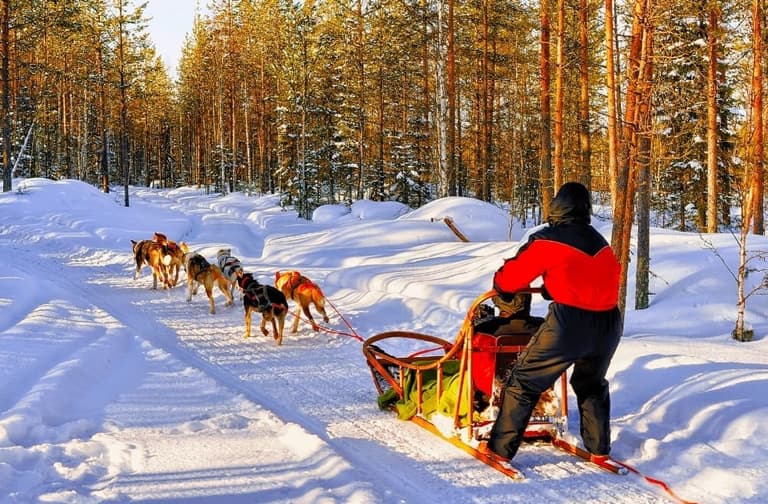 Immagine - Husky Safari – emozioni pure nella tundra
