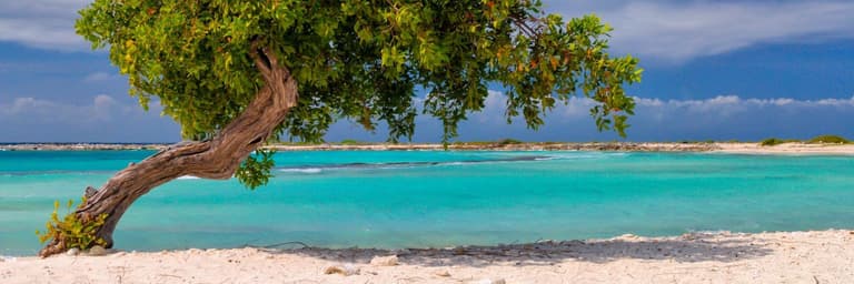 Paquetes con cupos a Caribe - AR