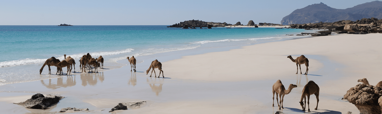 Image - 25°C - 26°C