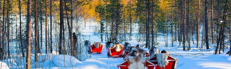 Immagine - Prenota la tua avventura artica ora