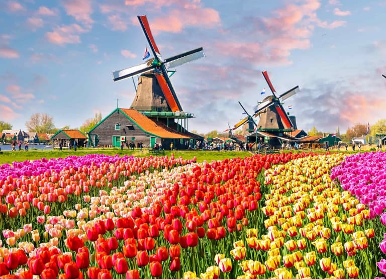 Image - Amsterdam Hotels 