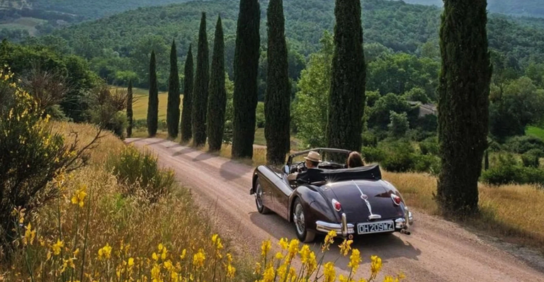 Imagen - Màs de 350 empresas de Alquiler