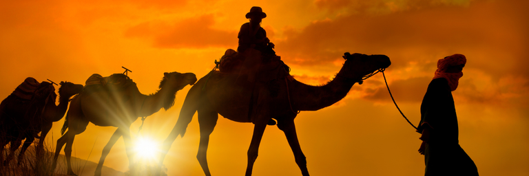 Immagine - DA 830€ 