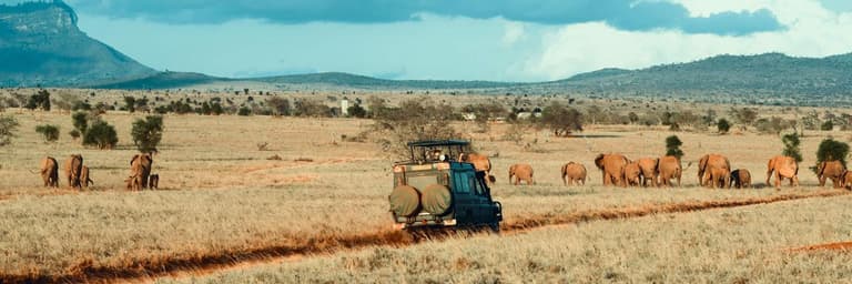 Bridges and holidays