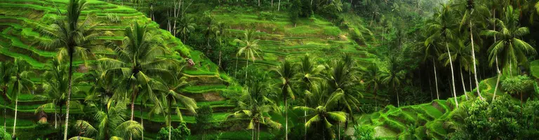 Baturiti (Province), Indonesië