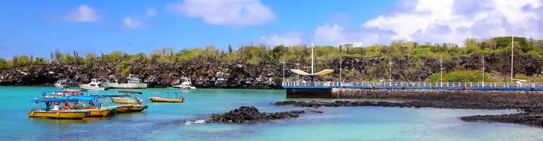 Santa Cruz Island, Galapagos Islands, Эквадор