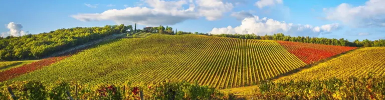 Gaiole in Chianti, Itália