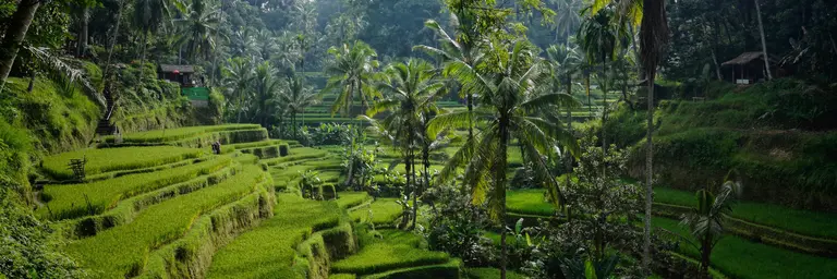 Bali