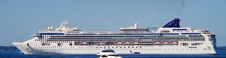 Norwegian Gem