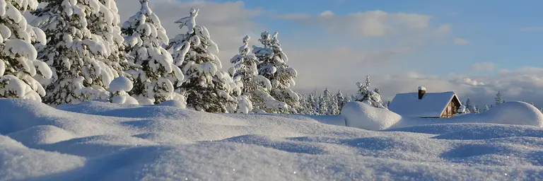 Winter