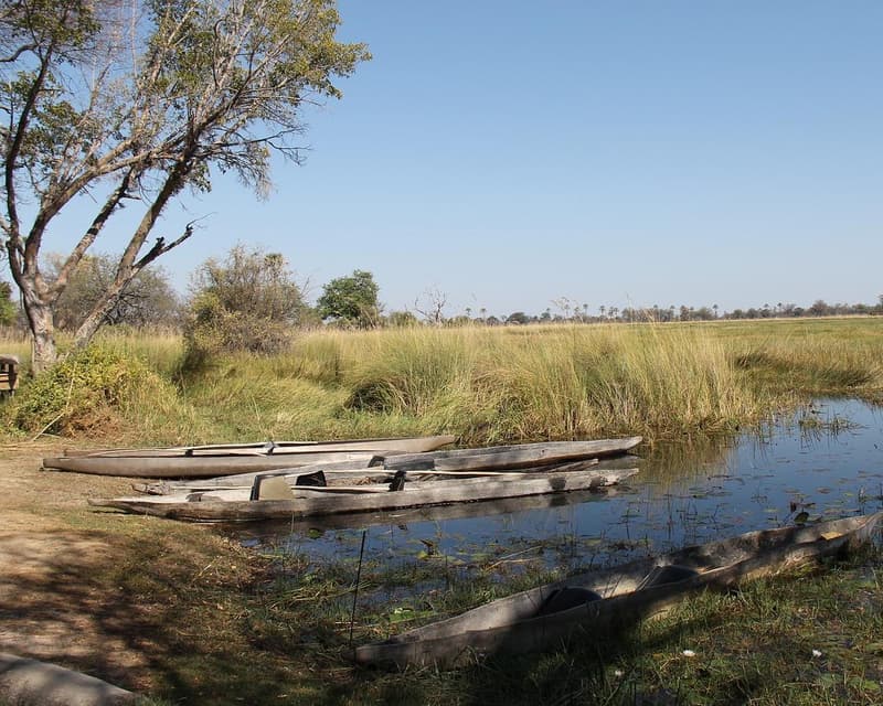 Imagine - Delta Okavango