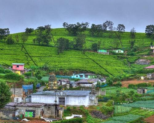 Imagine - Nuwara Eliya