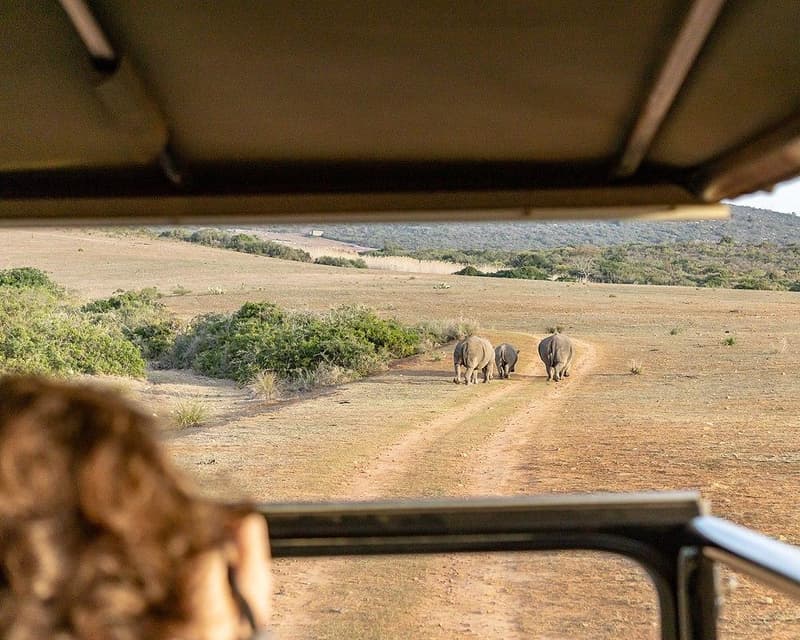 Beeld - Tuinroute Wildreservaat Lodge