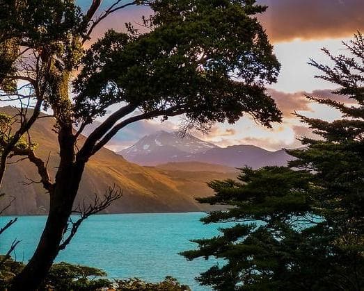 Image - Patagonia National Park