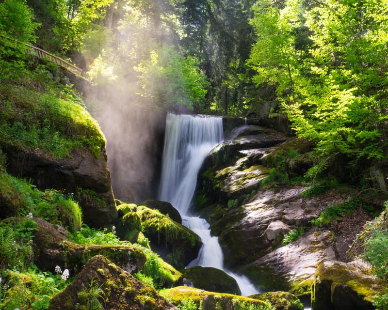Immagine - Triberg nel Schwarzwald