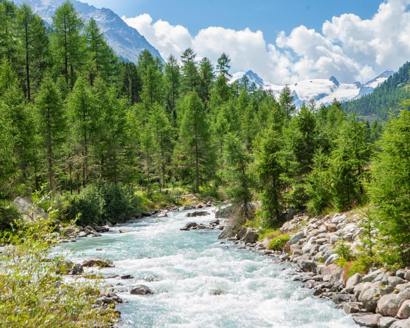 Immagine - Pontresina