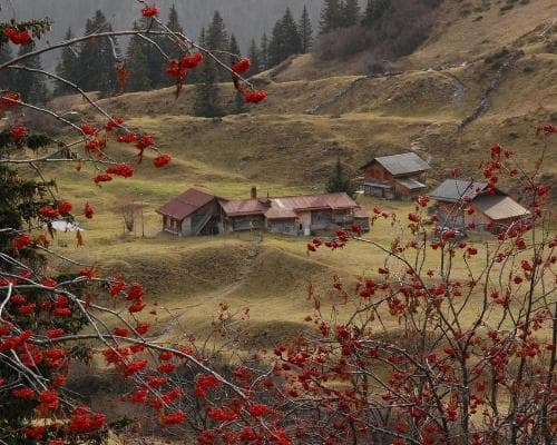 Immagine - Mürren - Schilthorn