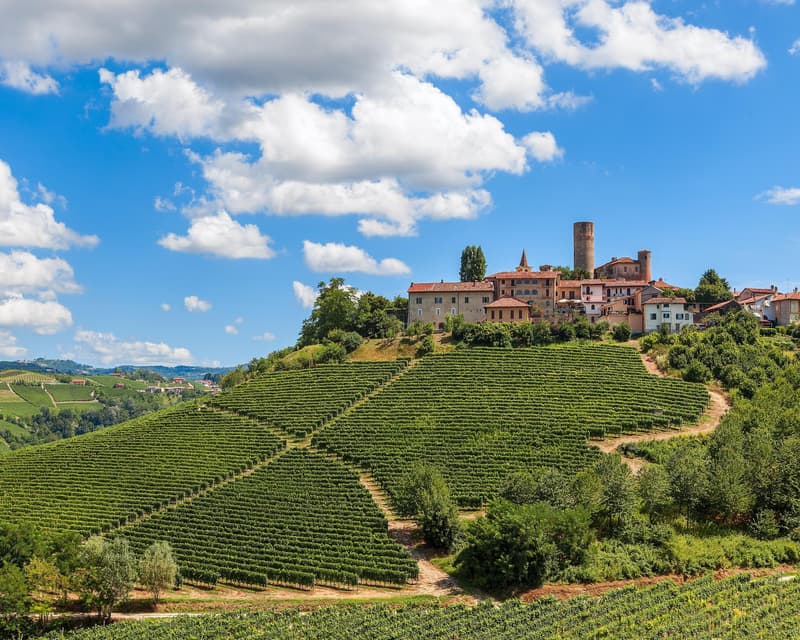 Immagine - Langhe