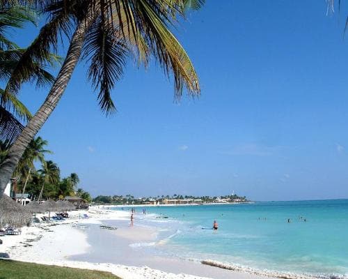 Beeld - San Nicolaas