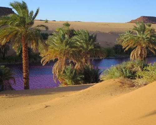 Image - Liwa