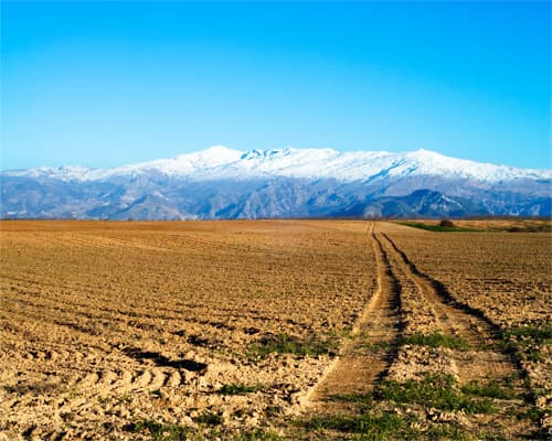 Imagen - Sierra Nevada
