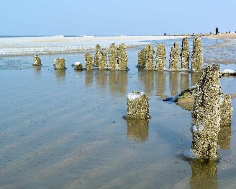 Immagine - Westerland