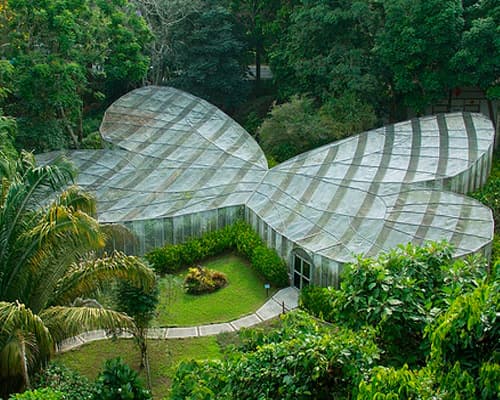 Imagen - Armenia, Quindio